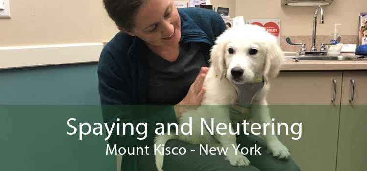 Spaying and Neutering Mount Kisco - New York