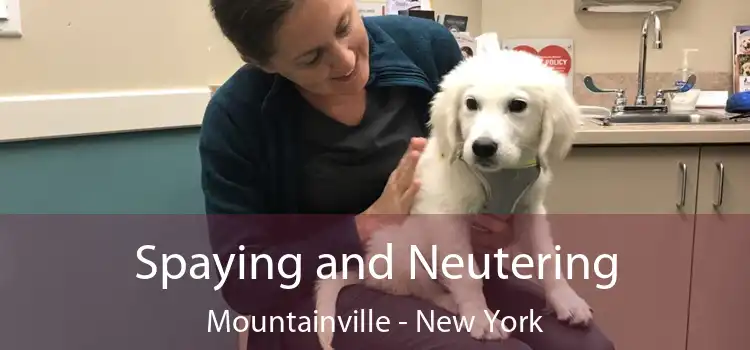 Spaying and Neutering Mountainville - New York