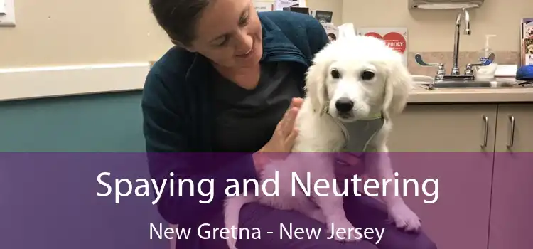 Spaying and Neutering New Gretna - New Jersey