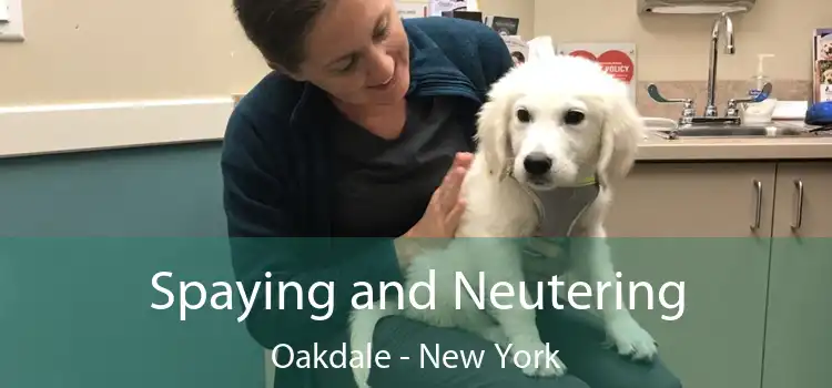 Spaying and Neutering Oakdale - New York