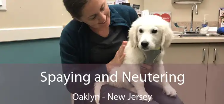 Spaying and Neutering Oaklyn - New Jersey