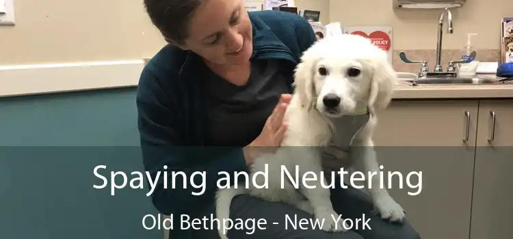 Spaying and Neutering Old Bethpage - New York