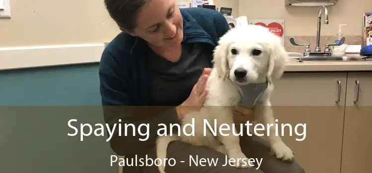 Spaying and Neutering Paulsboro - New Jersey