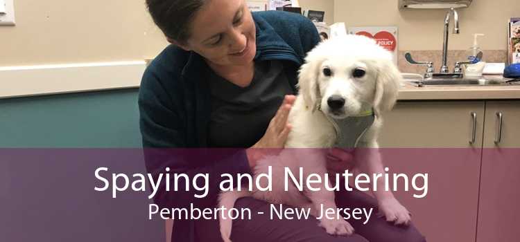 Spaying and Neutering Pemberton - New Jersey