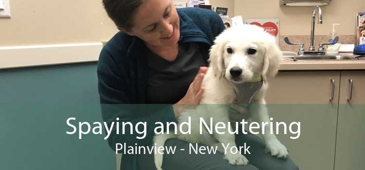 Spaying and Neutering Plainview - New York