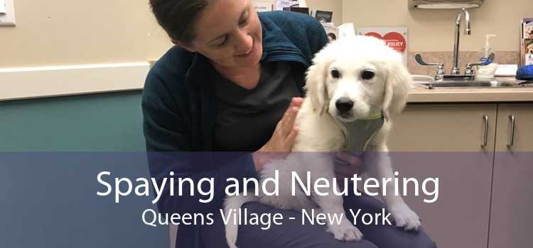 Spaying and Neutering Queens Village - New York
