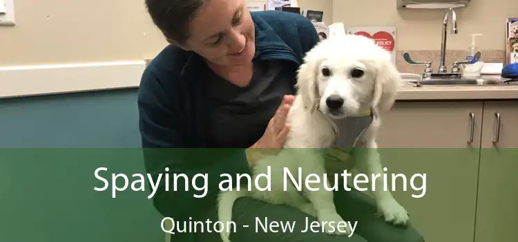 Spaying and Neutering Quinton - New Jersey