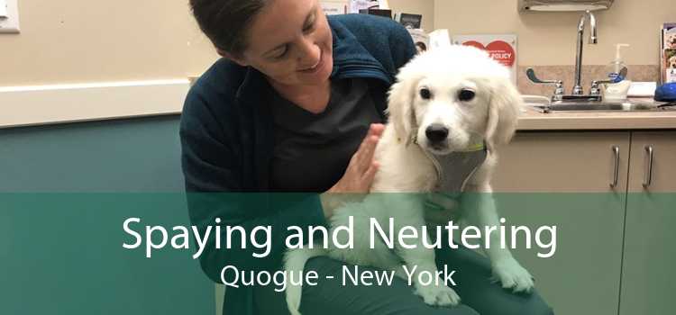 Spaying and Neutering Quogue - New York