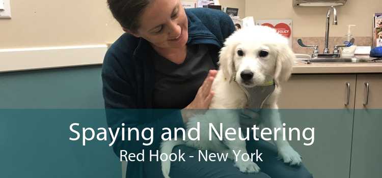 Spaying and Neutering Red Hook - New York