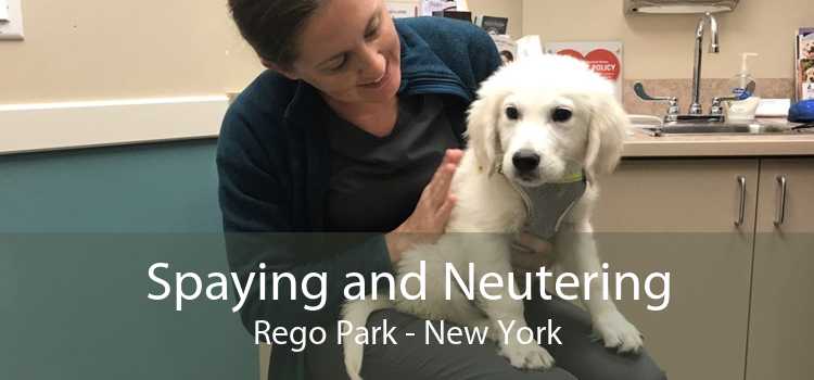 Spaying and Neutering Rego Park - New York