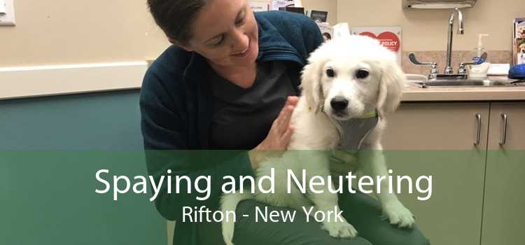 Spaying and Neutering Rifton - New York