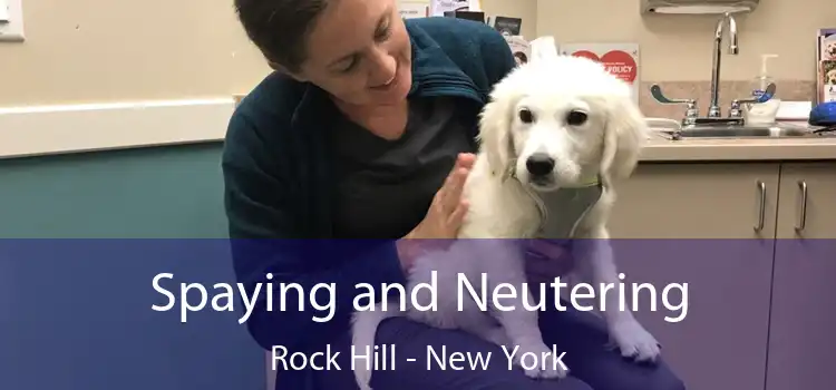 Spaying and Neutering Rock Hill - New York