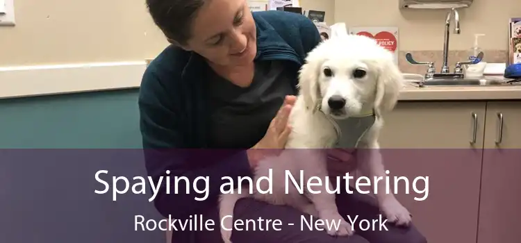 Spaying and Neutering Rockville Centre - New York