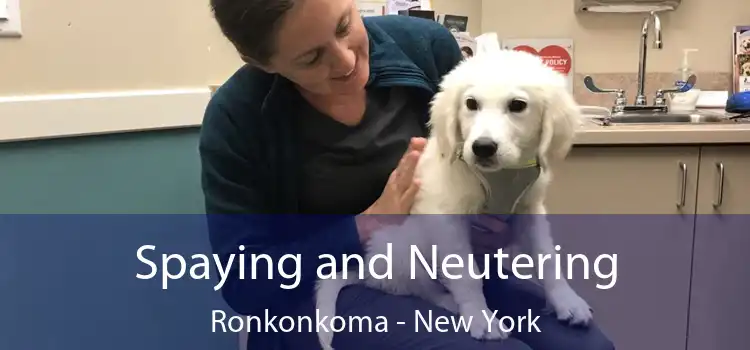 Spaying and Neutering Ronkonkoma - New York