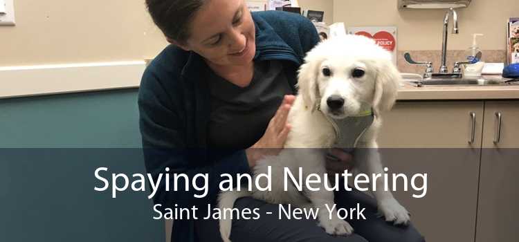 Spaying and Neutering Saint James - New York