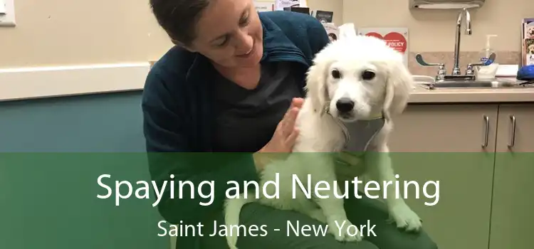 Spaying and Neutering Saint James - New York