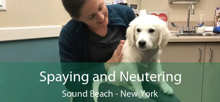 Spaying and Neutering Sound Beach - New York
