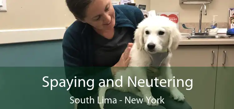 Spaying and Neutering South Lima - New York