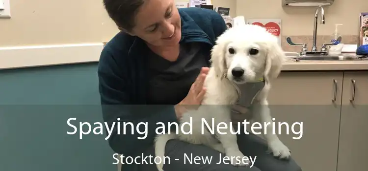 Spaying and Neutering Stockton - New Jersey