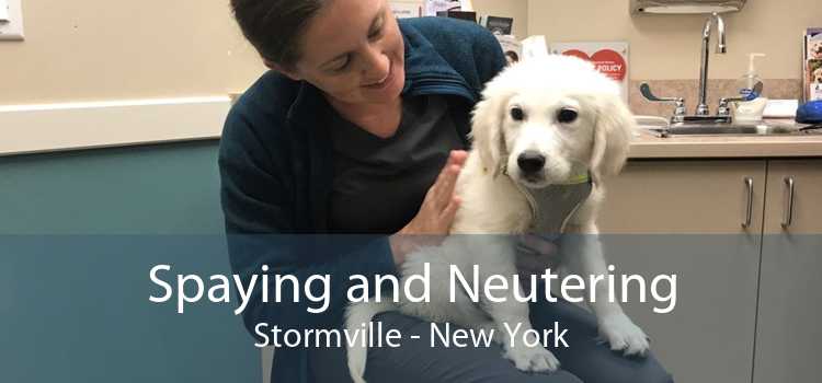 Spaying and Neutering Stormville - New York