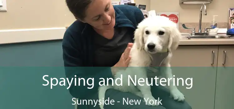 Spaying and Neutering Sunnyside - New York