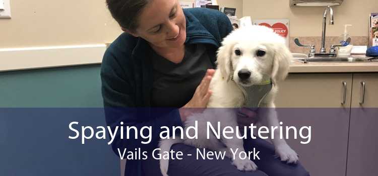 Spaying and Neutering Vails Gate - New York