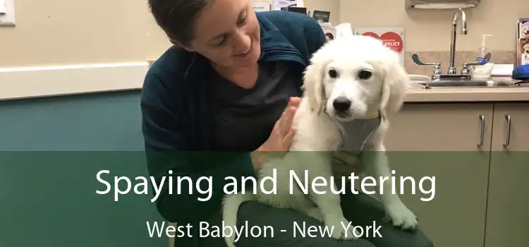 Spaying and Neutering West Babylon - New York