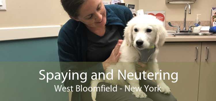Spaying and Neutering West Bloomfield - New York