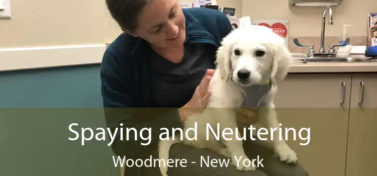 Spaying and Neutering Woodmere - New York