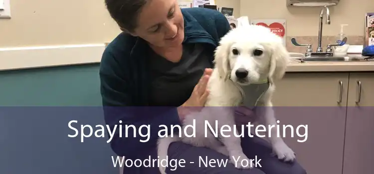 Spaying and Neutering Woodridge - New York