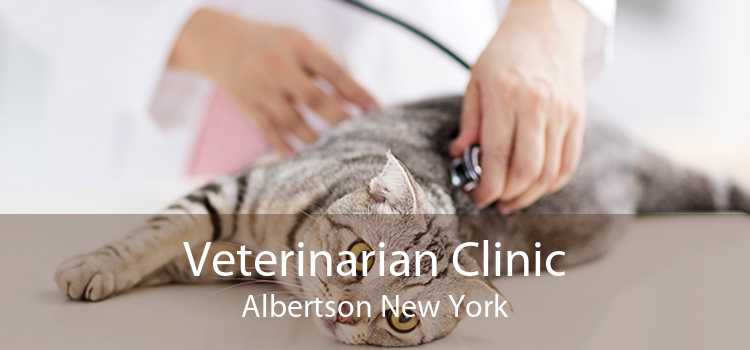 Veterinarian Clinic Albertson New York