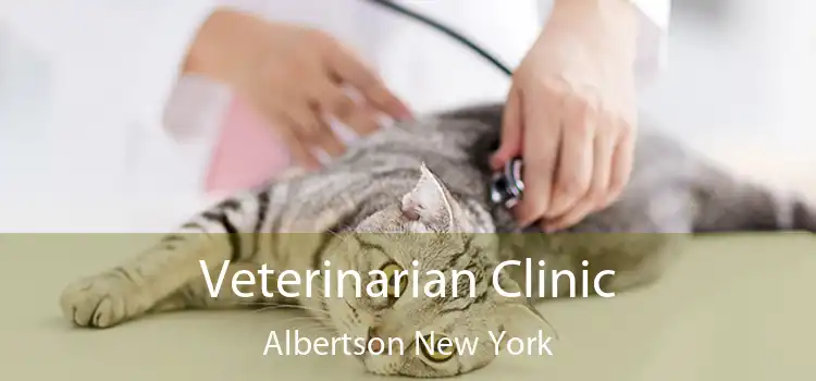 Veterinarian Clinic Albertson New York