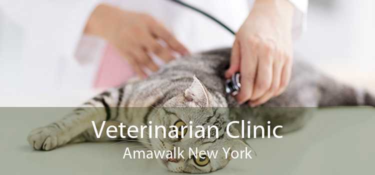 Veterinarian Clinic Amawalk New York