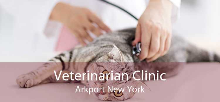 Veterinarian Clinic Arkport New York