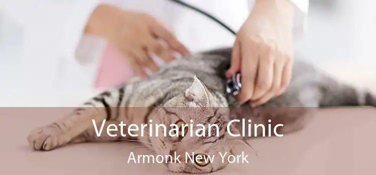 Veterinarian Clinic Armonk New York