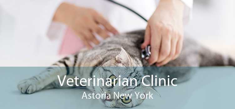 Veterinarian Clinic Astoria New York