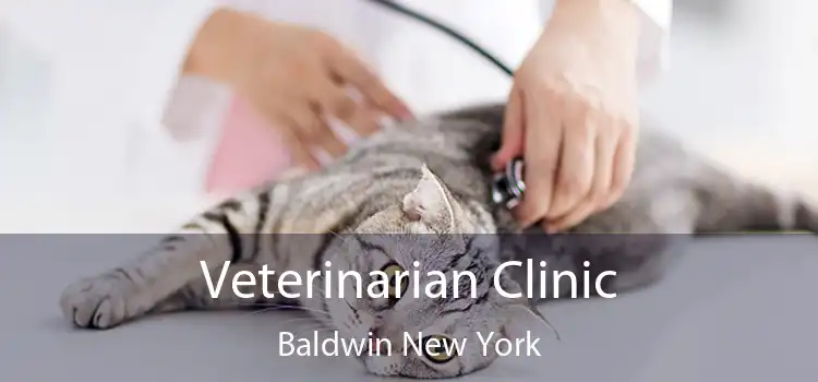Veterinarian Clinic Baldwin New York