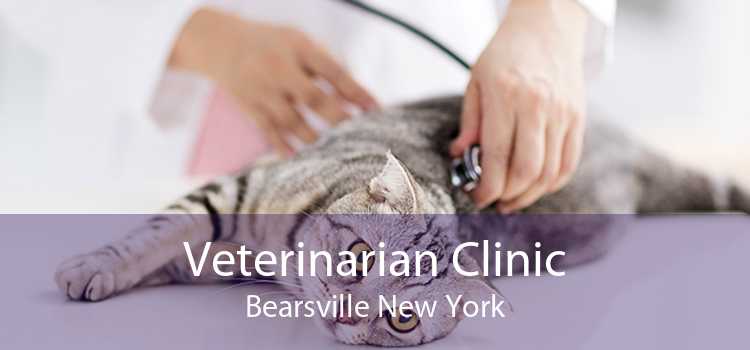 Veterinarian Clinic Bearsville New York