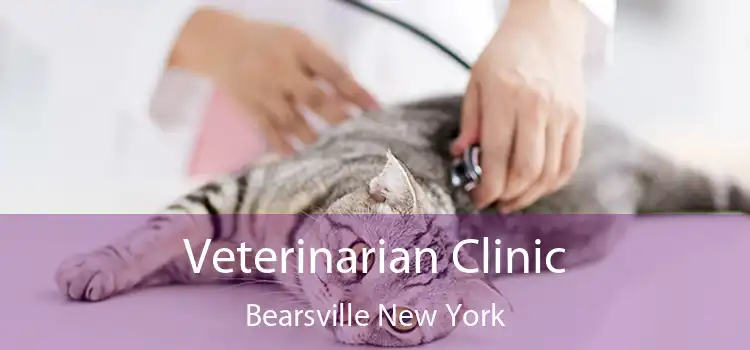 Veterinarian Clinic Bearsville New York