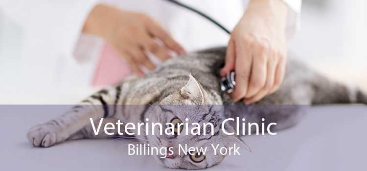 Veterinarian Clinic Billings New York