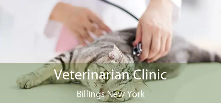 Veterinarian Clinic Billings New York