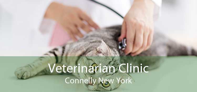 Veterinarian Clinic Connelly New York