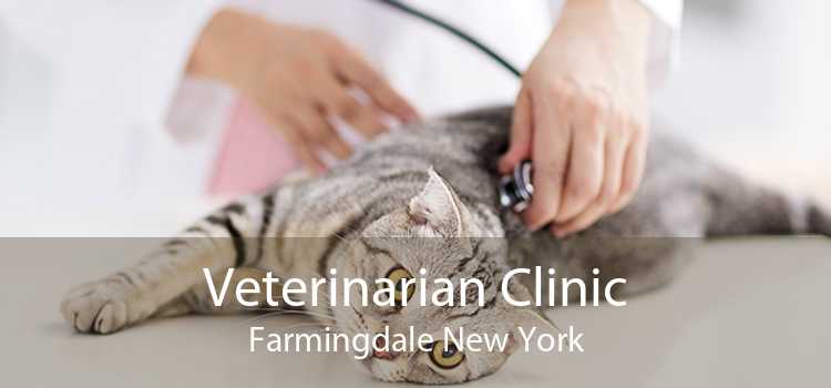 Veterinarian Clinic Farmingdale New York