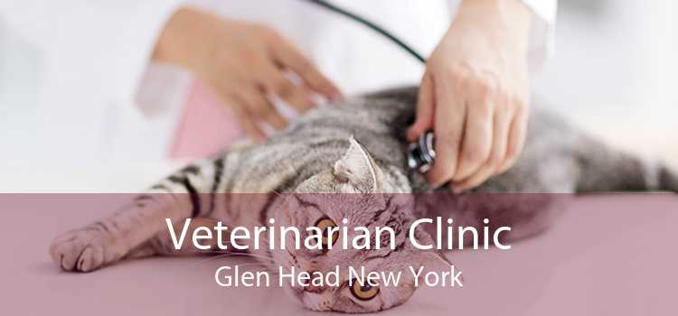 Veterinarian Clinic Glen Head New York