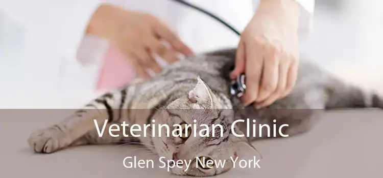 Veterinarian Clinic Glen Spey New York