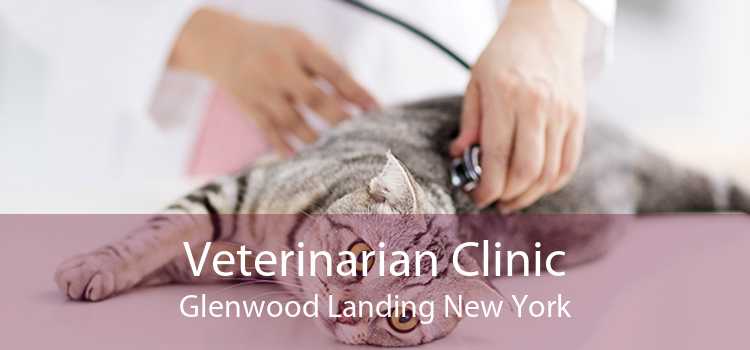 Veterinarian Clinic Glenwood Landing New York