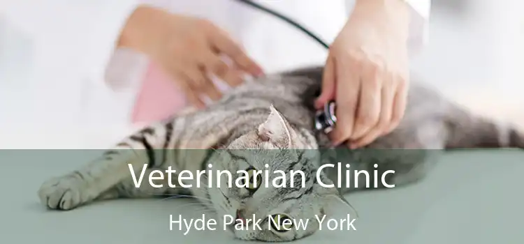 Veterinarian Clinic Hyde Park New York