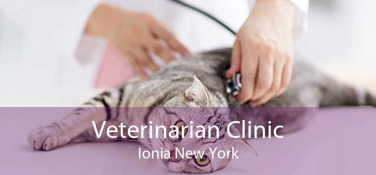 Veterinarian Clinic Ionia New York