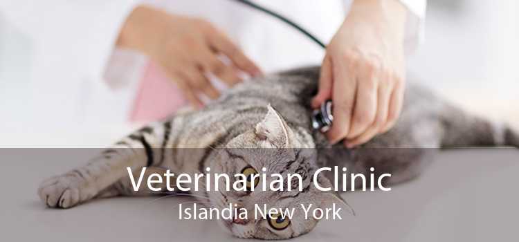 Veterinarian Clinic Islandia New York