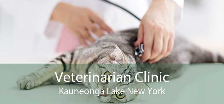 Veterinarian Clinic Kauneonga Lake New York